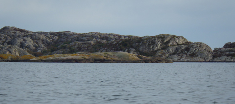 Bild. Bohuslänska klippor.