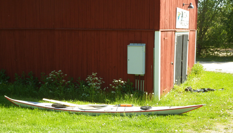 Bild. Arnes Acuta ligger på gräset vid kanotladan.