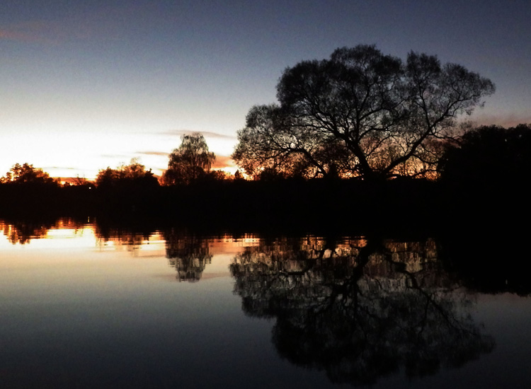 Bild. Ett träd speglas i vattnet. Nattljus.